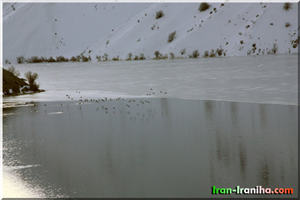  دریاچه  ی  گهر  در  زمستان.  همانطور  که  ملاحظه  می  فرمایید  نیمی  از  سطح  دریاچه  یخ  زده  است.  گاهی  قطر  یخ  آنقدر  ضخیم  می  شود  که  به  سادگی  می  توان  عرض  یا  طول  دریاچه  را  طی  کرد.  (  عکس  از  کمال  روشن،  عضو  گروه  ایران  –  ایرانی  ها  ) 