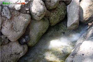  به  شکل  سنگ‌های  مرجانی  دقت  فرمایید.  این  سنگ‌ها  خود  عاملی  برای  تصفیه  آب  محسوب  می‌شوند. 