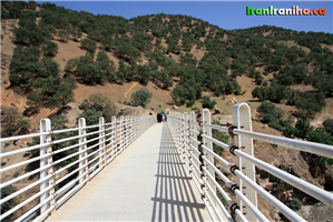  پل  فلزی  بیشه.  طول  پل  81  متر،  عرض  آن  دو  متر  و  ارتفاع  آن  25  متر  از  سطح  رودخانه  است. 