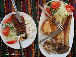  غذاهای  ترکی  هر  چند  شباهت  زیادی  با  غذاهای  ایرانی  دارند  اما  به  نظرم  غذاهای  وطنی  بسیار  خوشمزه‌تر  هستند. 